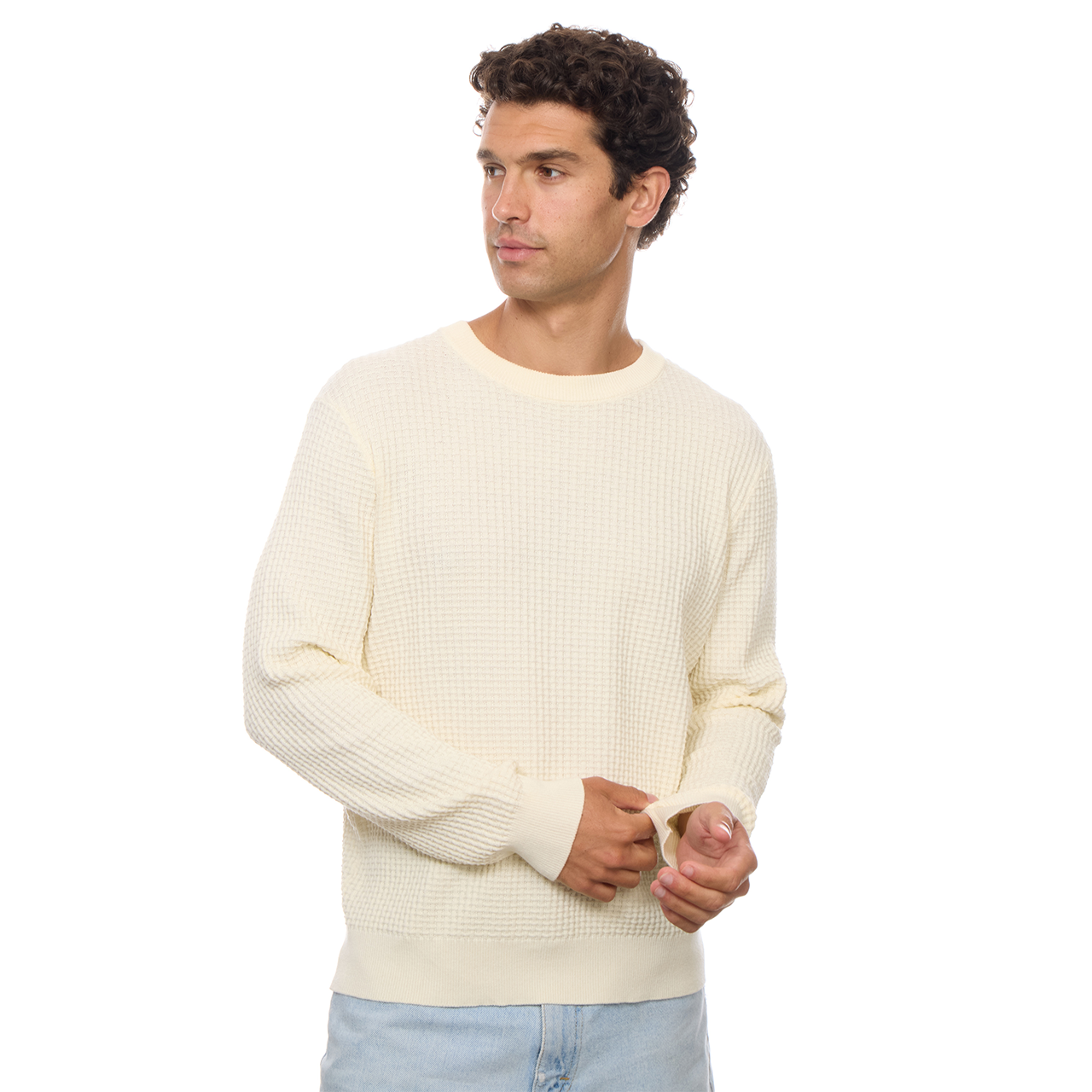 Allen Solid Textured 100% Cotton Sweater -Cream